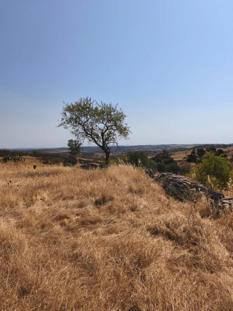 Terreno Agricola ou Rústico para Venda em Alcoutim e Pereiro
