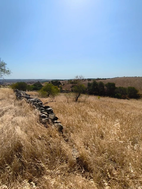 Terreno Agricola ou Rústico para Venda em Alcoutim e Pereiro