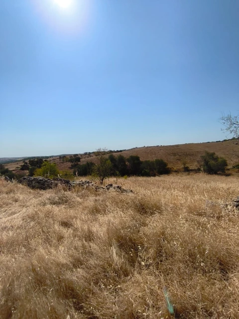 Terreno Agricola ou Rústico para Venda em Alcoutim e Pereiro