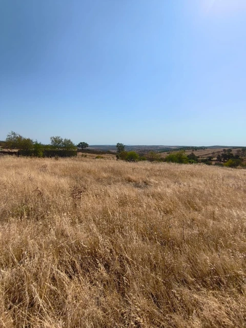 Terreno Agricola ou Rústico para Venda em Alcoutim e Pereiro