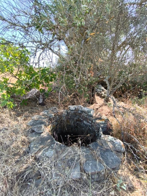 Terreno Agricola ou Rústico para Venda em Alcoutim e Pereiro