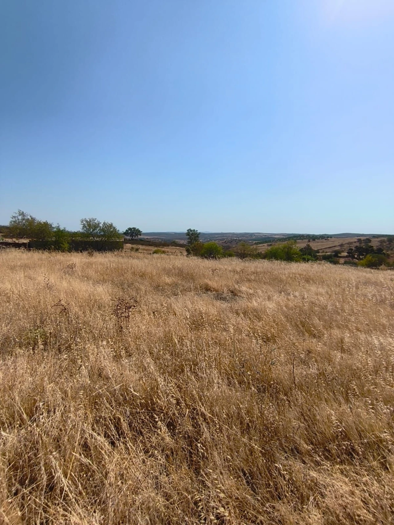 Terreno Agricola ou Rústico para Venda em Alcoutim e Pereiro Foto 1