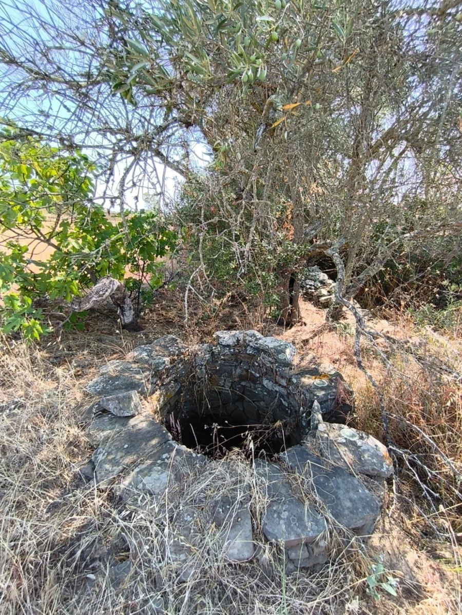 Terreno Agricola ou Rústico para Venda em Alcoutim e Pereiro Foto 6