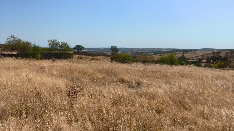 Terreno Agricola ou Rústico para Venda em Alcoutim e Pereiro
