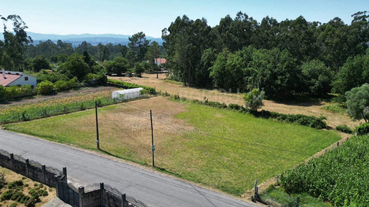 Terreno para Venda em Gandra e Taião Foto 3