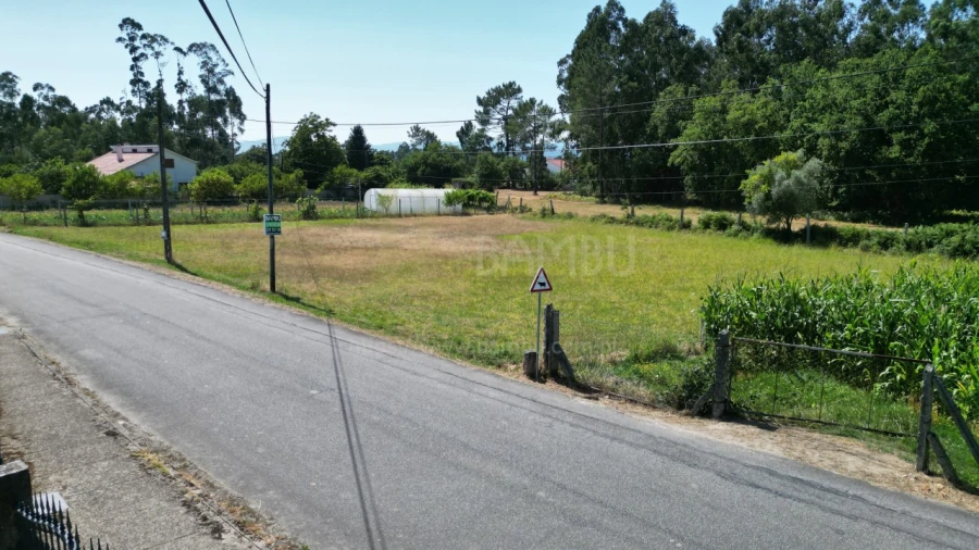 Terreno para Venda em Gandra e Taião Foto 4