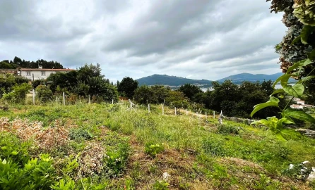 Terreno para Venda em Caminha (Matriz) e Vilarelho