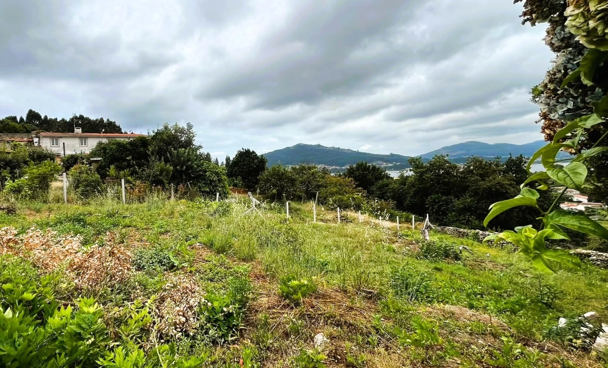 Terreno para Venda em Caminha (Matriz) e Vilarelho Foto 11