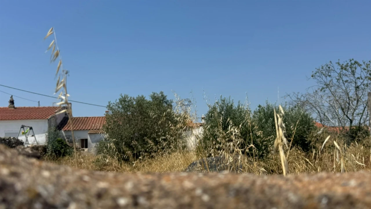 Moradia T3 para Venda em Castro Verde e Casével Foto 24