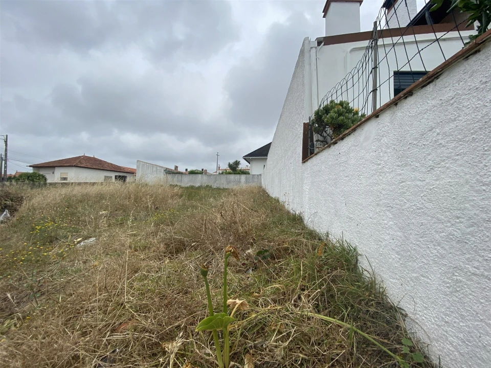 Terreno para Venda em Vieira de Leiria Foto 4