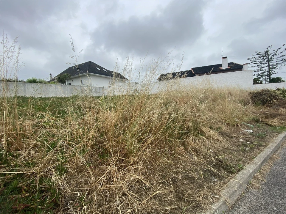 Terreno para Venda em Vieira de Leiria Foto 3