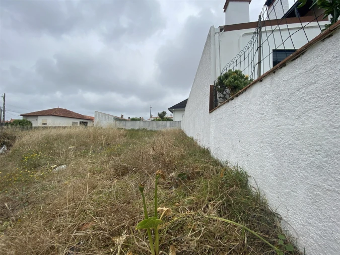 Terreno para Venda em Vieira de Leiria Foto 4