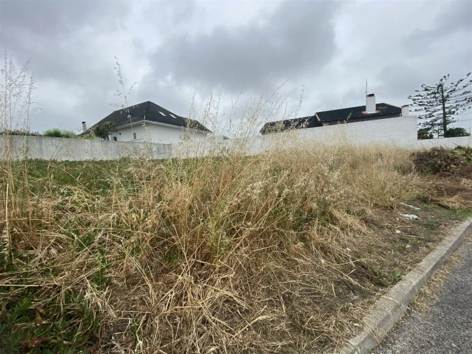 Terreno para Venda em Vieira de Leiria Foto 3