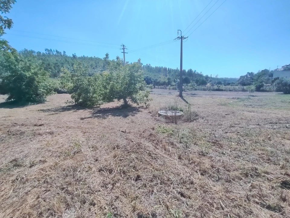 Moradia T2 para Venda em Colmeias e Memória Foto 6