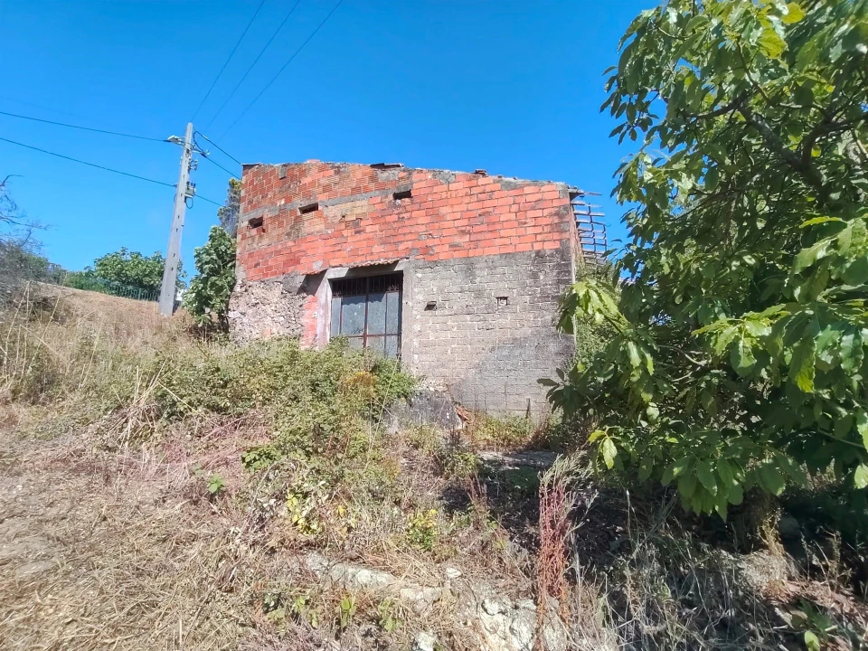 Moradia T2 para Venda em Colmeias e Memória Foto 5
