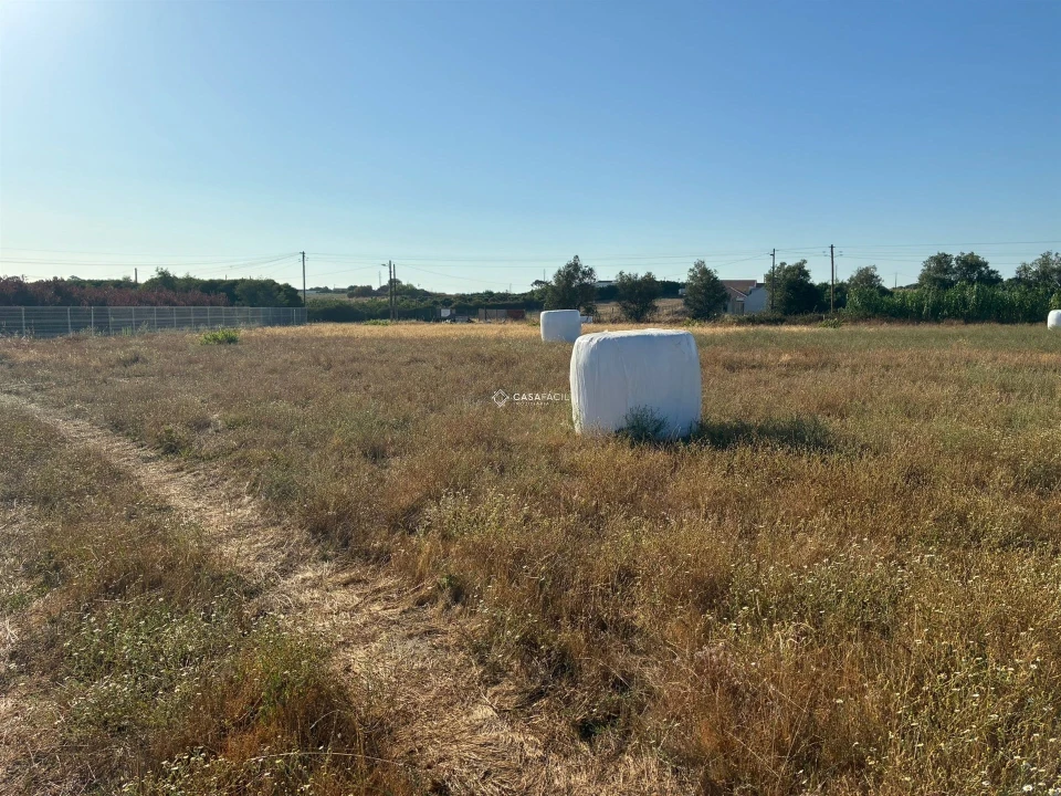 Terreno para Venda em São Francisco Foto 44