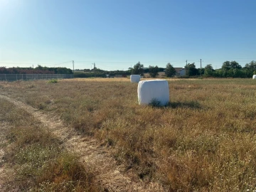 Terreno para Venda em São Francisco