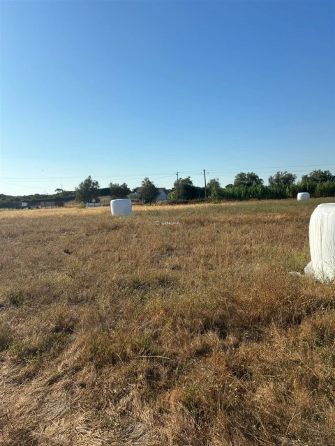 Terreno para Venda em São Francisco