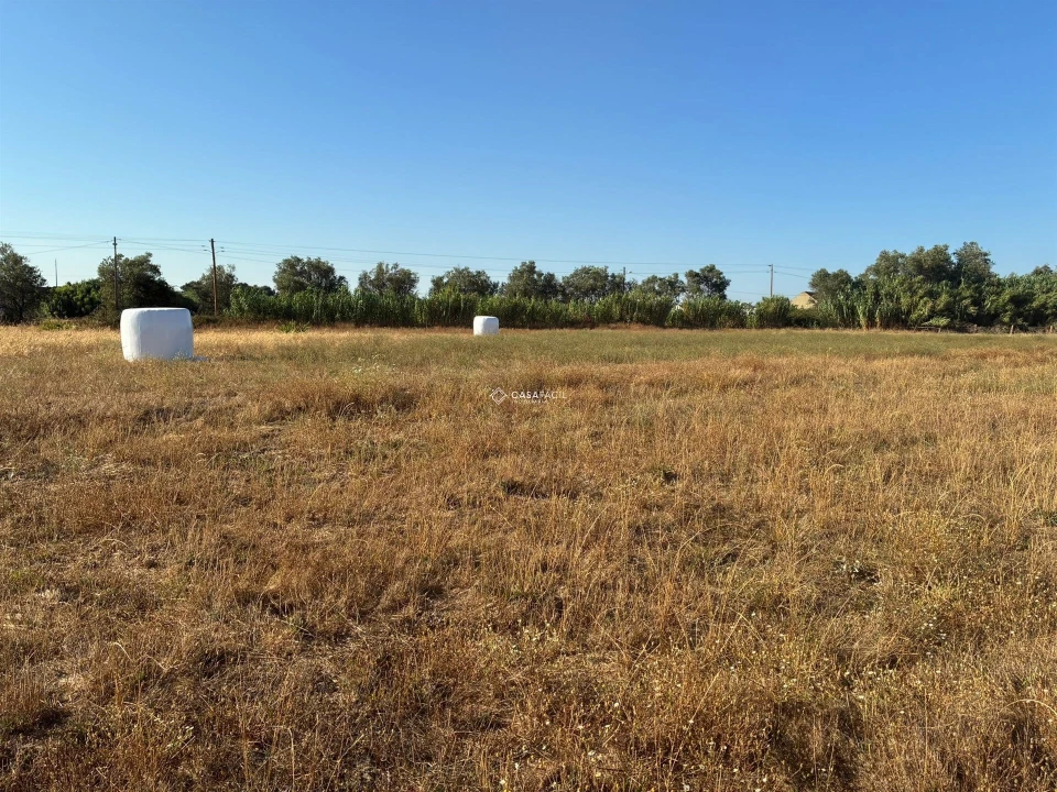 Terreno para Venda em São Francisco Foto 49