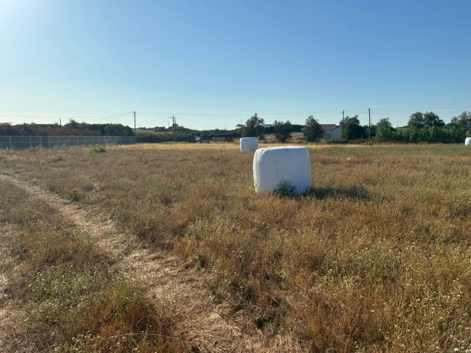 Terreno para Venda em São Francisco Foto 17