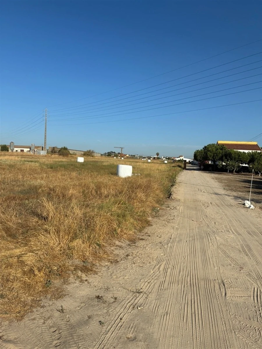 Terreno para Venda em São Francisco Foto 28