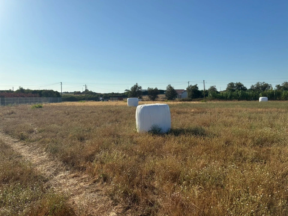 Terreno para Venda em São Francisco Foto 16