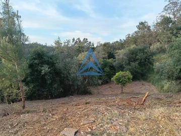 Terreno para Venda em Pombal