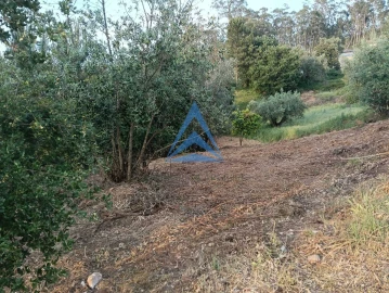 Terreno para Venda em Pombal