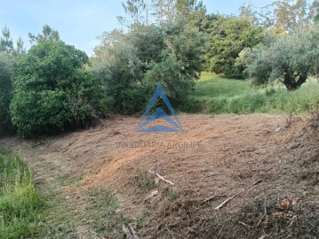 Terreno para Venda em Pombal