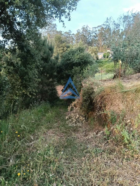 Terreno para Venda em Pombal