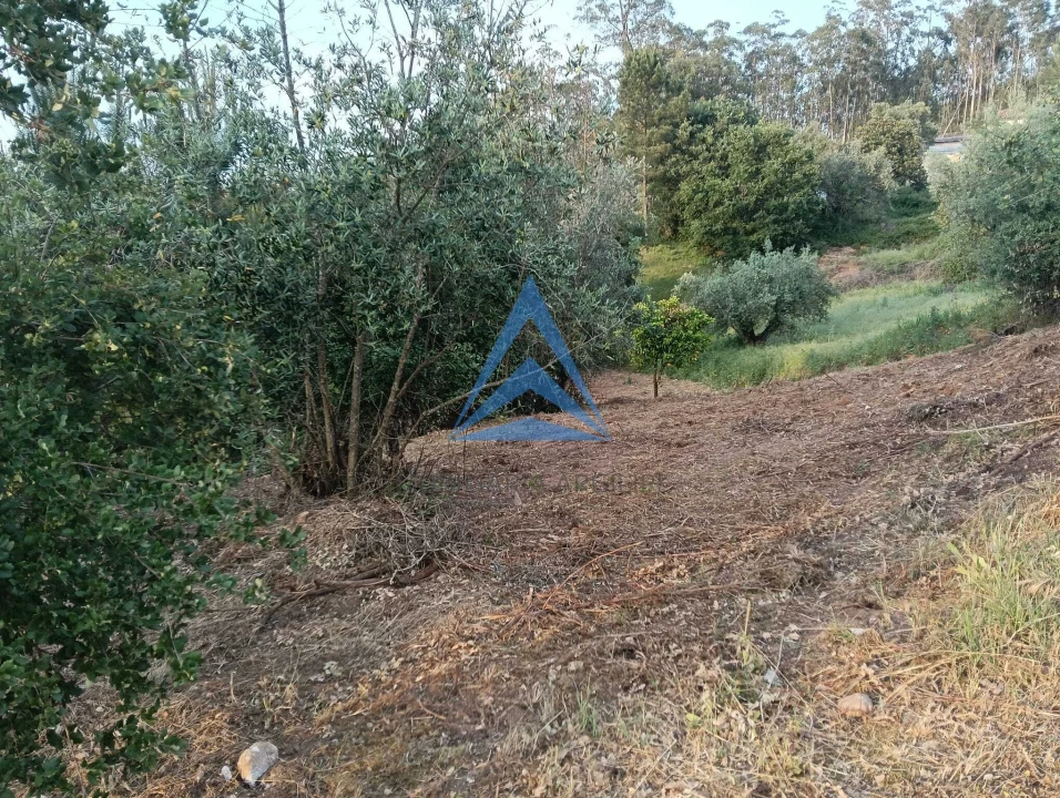 Terreno para Venda em Pombal Foto 10
