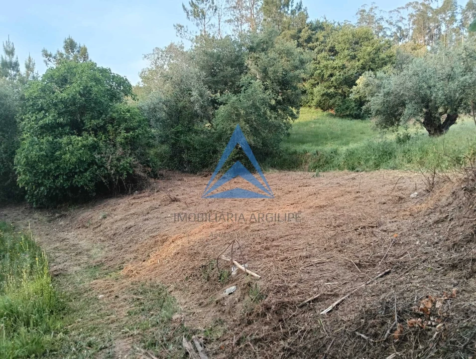 Terreno para Venda em Pombal Foto 13