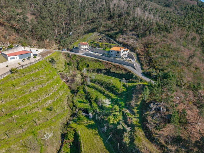 Terreno para Venda em Sande, Vilarinho, Barros e Gomide Foto 7