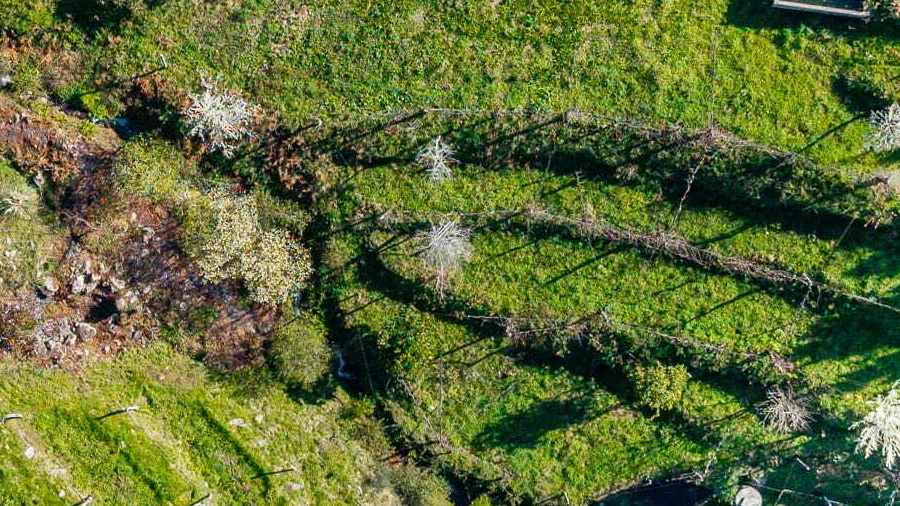 Terreno para Venda em Sande, Vilarinho, Barros e Gomide