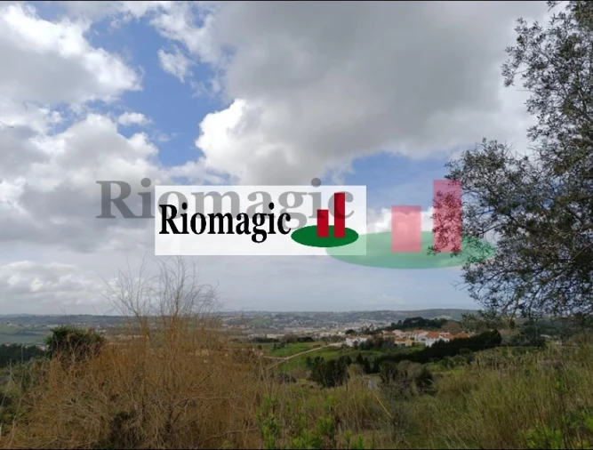 Terreno para Venda em Aljubarrota Foto 3