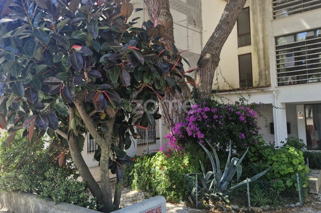 Negócio para Venda em Carcavelos e Parede Foto 5