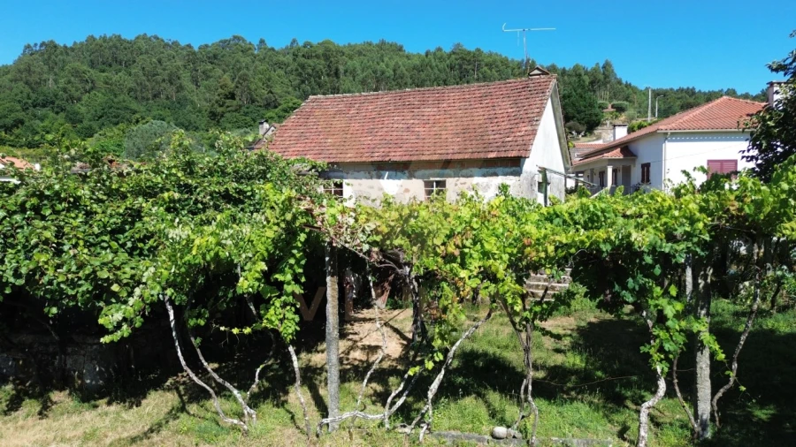 Moradia T2 para Venda em Bárrio e Cepões Foto 21