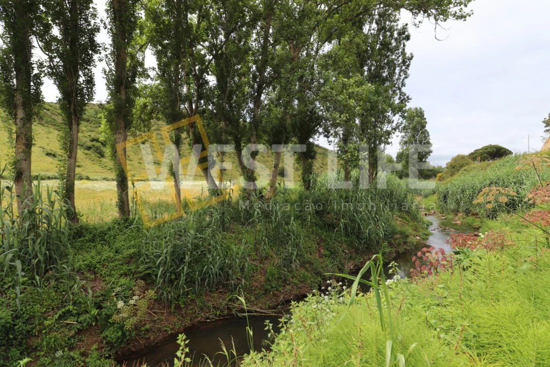 Terreno Agricola ou Rústico para Venda em Santo Isidoro Foto 1