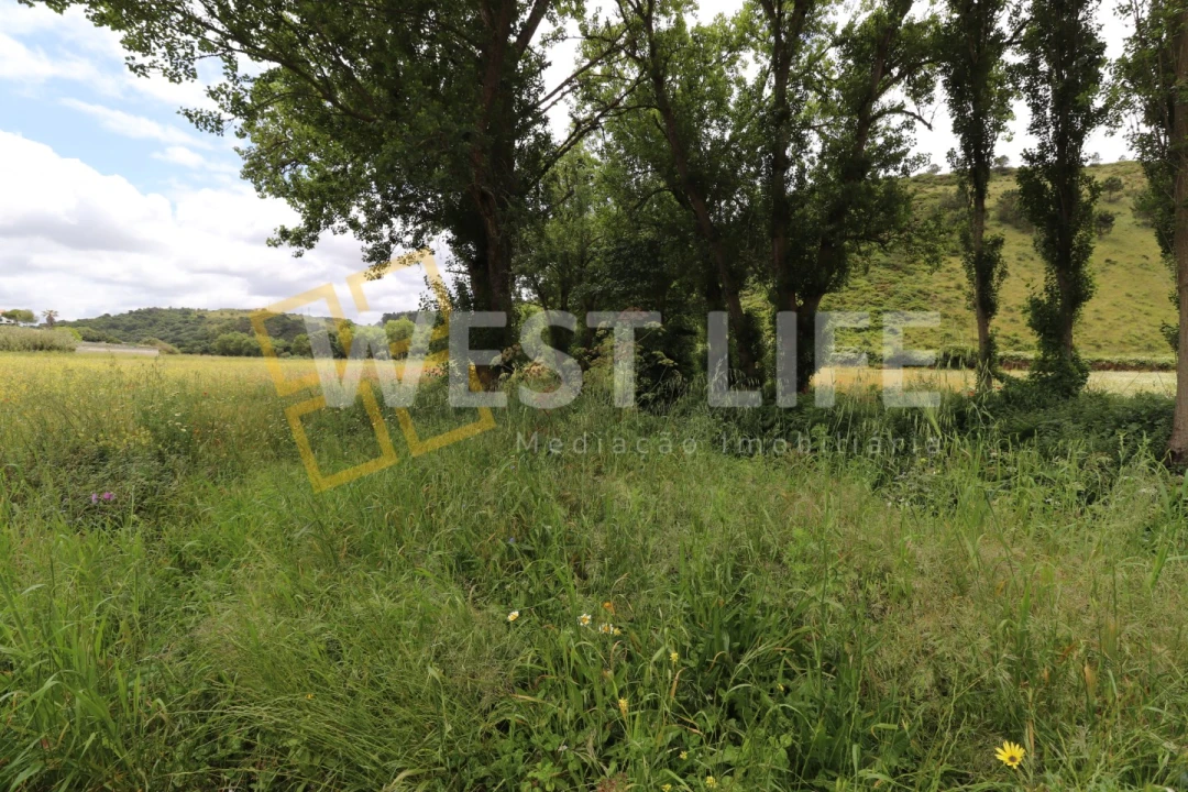 Terreno Agricola ou Rústico para Venda em Santo Isidoro Foto 3