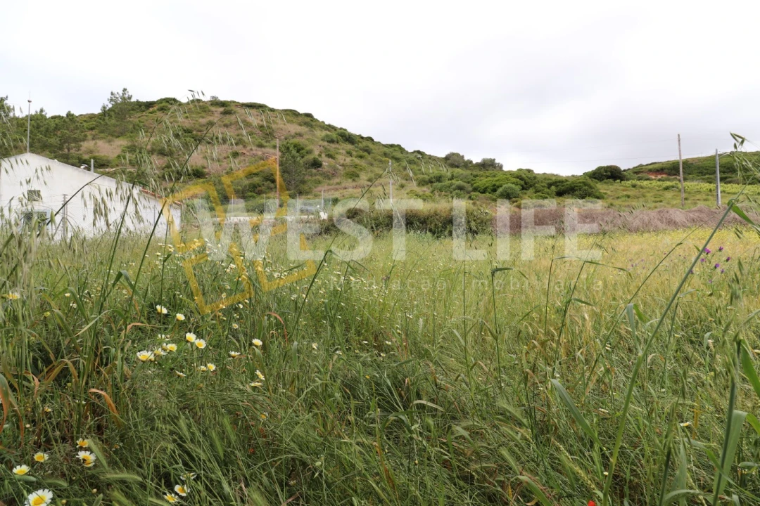 Terreno Agricola ou Rústico para Venda em Santo Isidoro Foto 5
