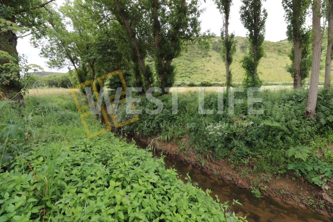 Terreno Agricola ou Rústico para Venda em Santo Isidoro Foto 6