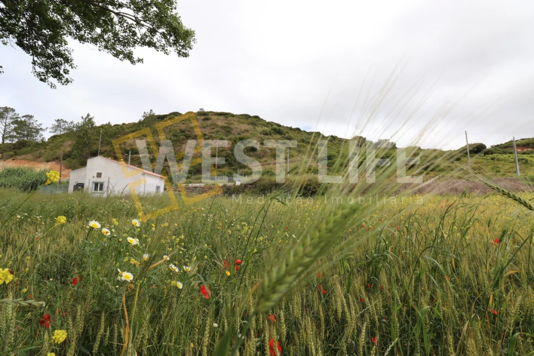 Terreno Agricola ou Rústico para Venda em Santo Isidoro Foto 7