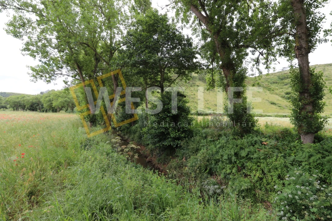 Terreno Agricola ou Rústico para Venda em Santo Isidoro Foto 8