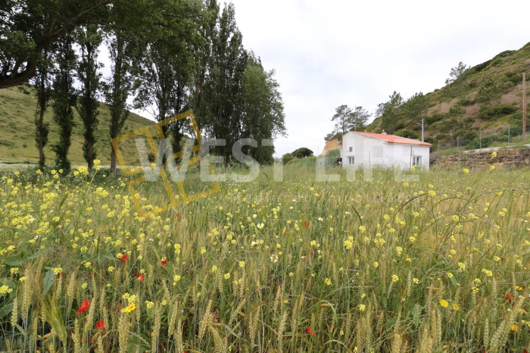 Terreno Agricola ou Rústico para Venda em Santo Isidoro Foto 9