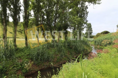 Terreno Agricola ou Rústico para Venda em Santo Isidoro