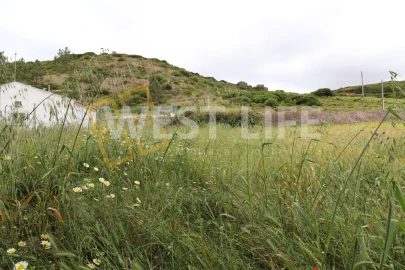 Terreno Agricola ou Rústico para Venda em Santo Isidoro