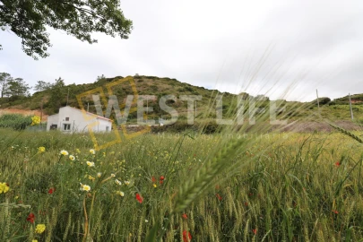 Terreno Agricola ou Rústico para Venda em Santo Isidoro