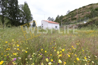 Terreno Agricola ou Rústico para Venda em Santo Isidoro