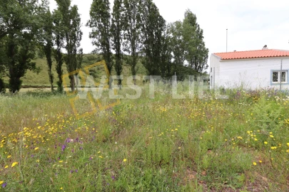 Terreno Agricola ou Rústico para Venda em Santo Isidoro