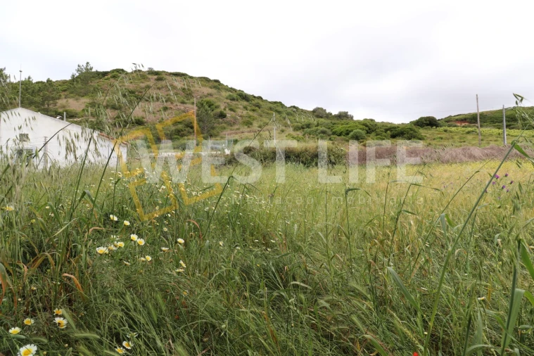 Terreno Agricola ou Rústico para Venda em Santo Isidoro Foto 5